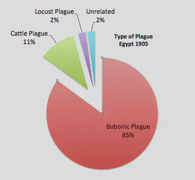 Types of Plague in Egypt in 1905