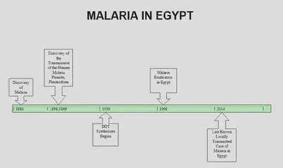 malaria timeline