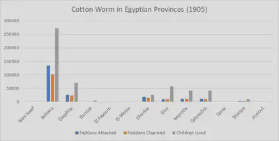 Cotton Worm in Egyptian Provinces for 1905