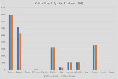 Cotton Worm in Egyptian Provinces for 1907