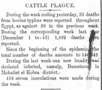 Cattle Plague in Egypt